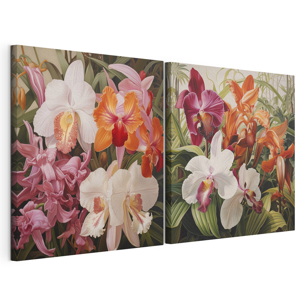 Bunte Orchideen — Produktansicht