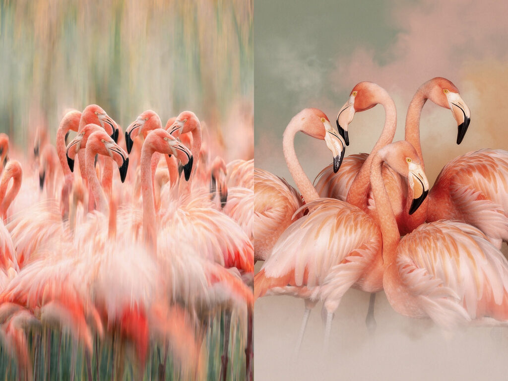 Flamingos dicht beisammen — ganzes Design