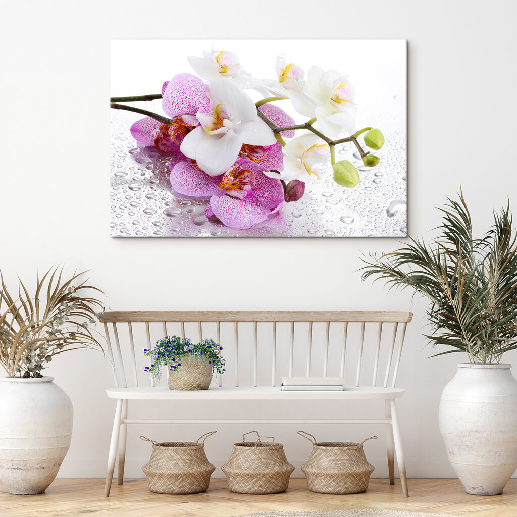 Orchideen mit Tautropfen — Interieur 5