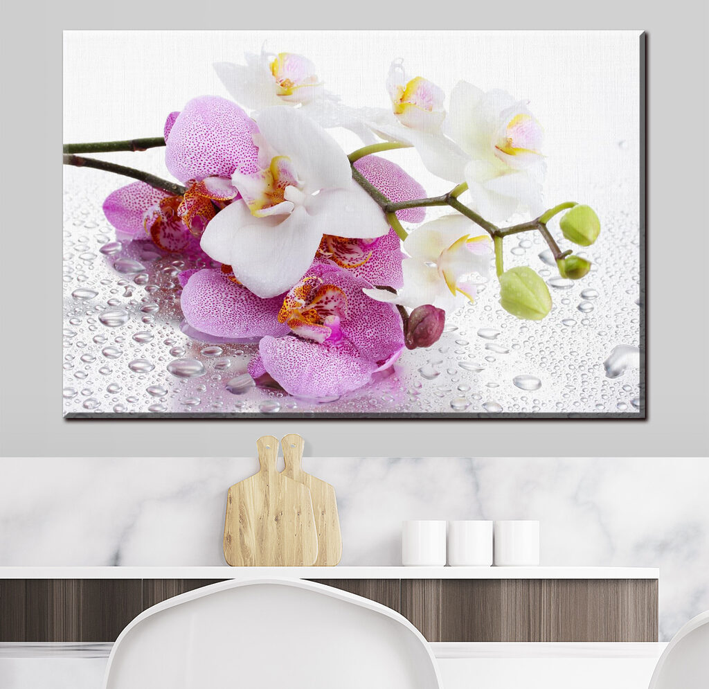 Orchideen mit Tautropfen — Interieur 1