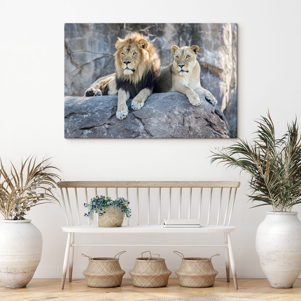 Ruhendes Löwenpaar — Interieur 3
