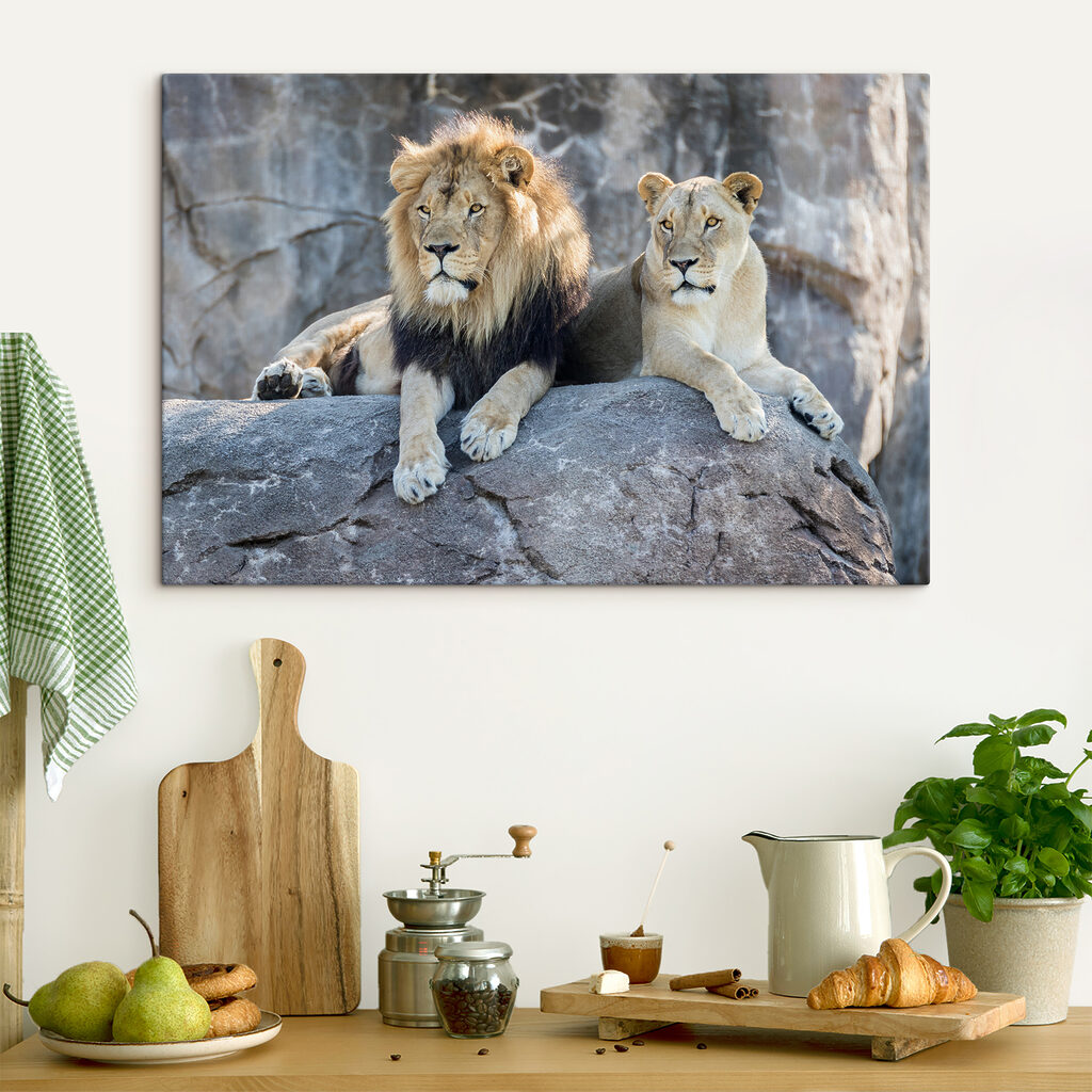 Ruhendes Löwenpaar — Interieur 4