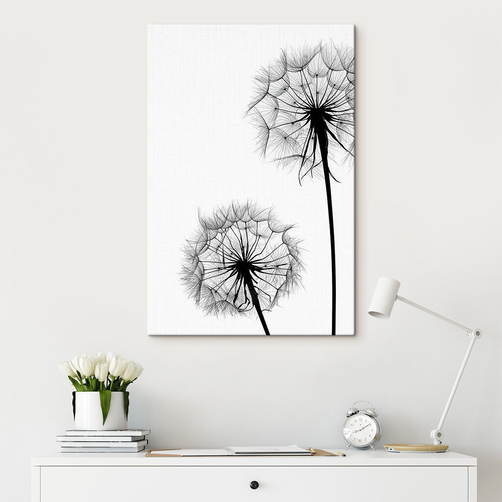 Pusteblumen vor Weiß — Interieur 1