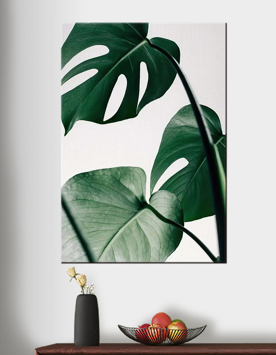 Monstera auf hellem Grund — Interieur 2
