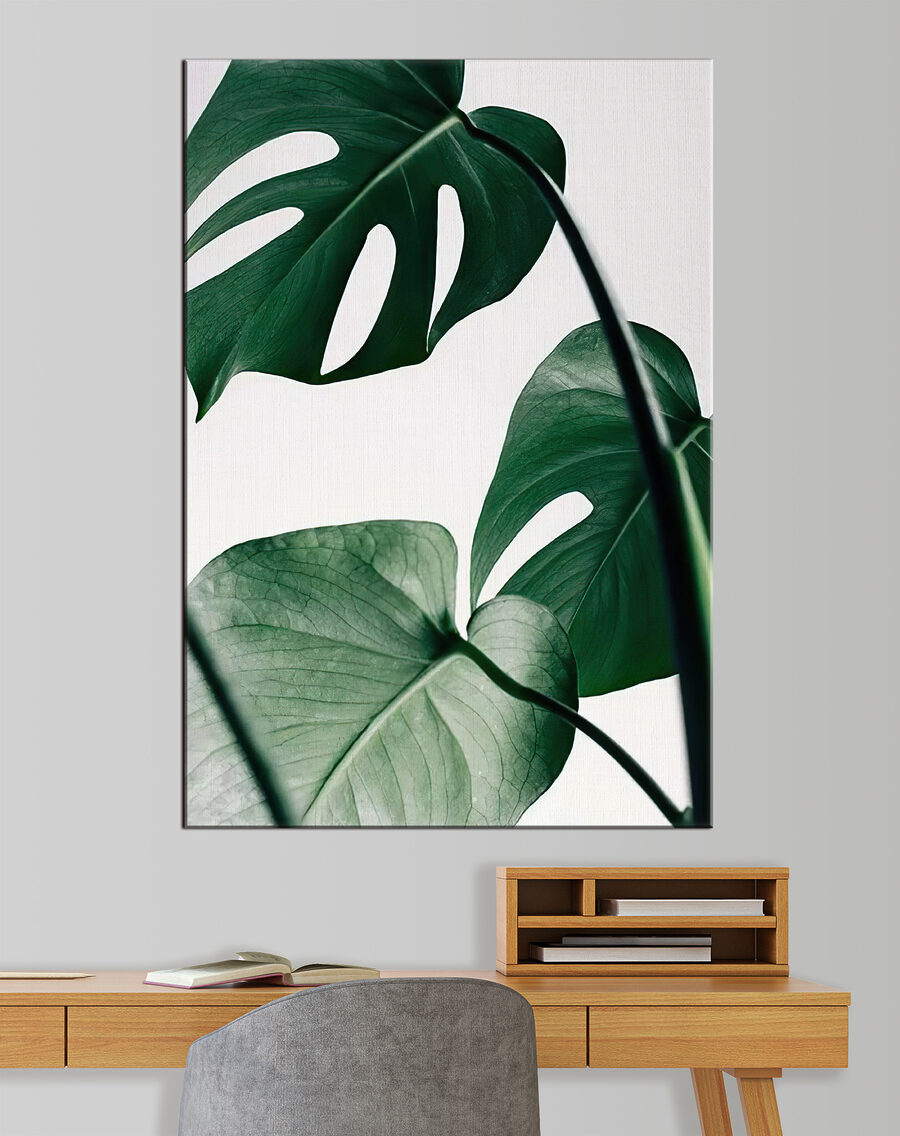 Monstera auf hellem Grund — Interieur 1