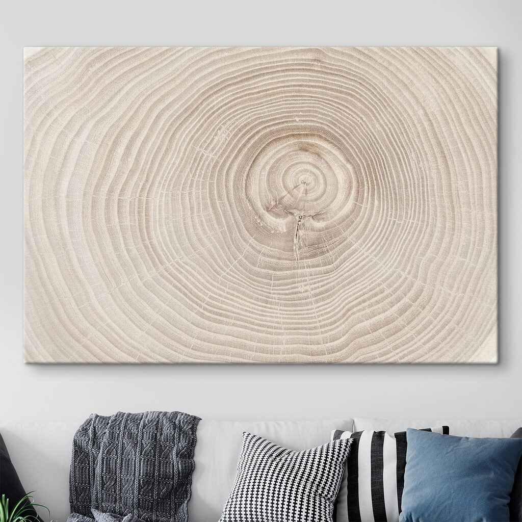 Jahresringe aus der Nähe — Interieur 2