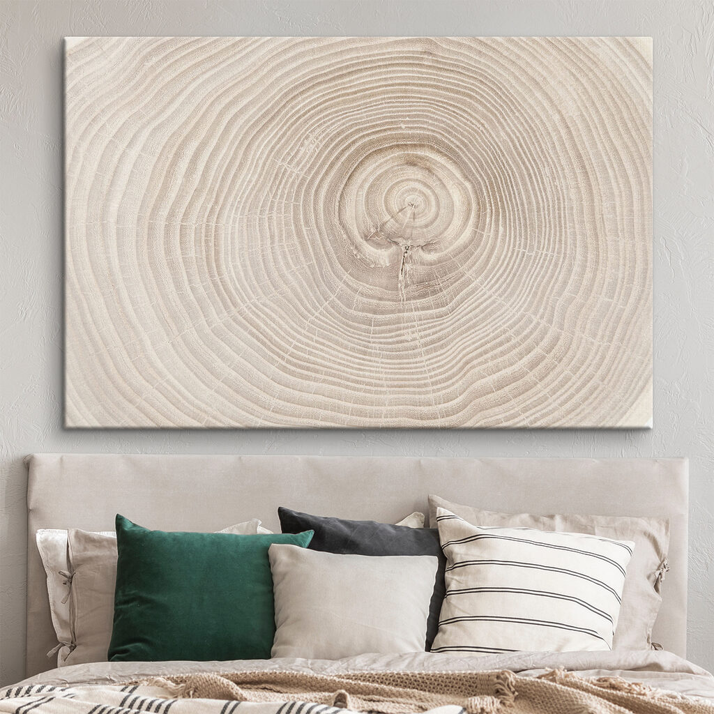 Jahresringe aus der Nähe — Interieur 1