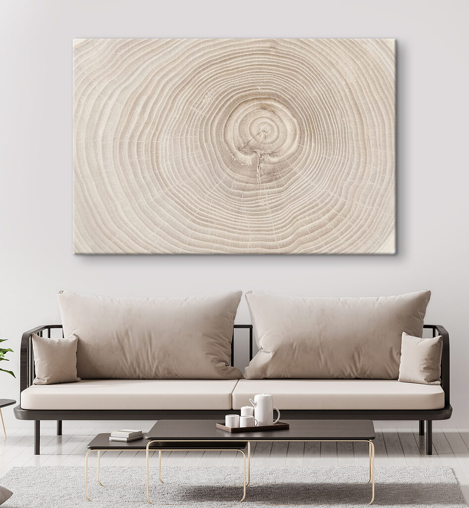 Jahresringe aus der Nähe — Interieur 3