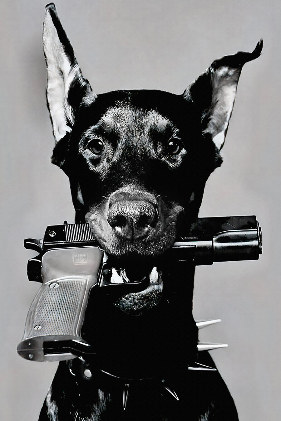 Hund mit Pistole — ganzes Design
