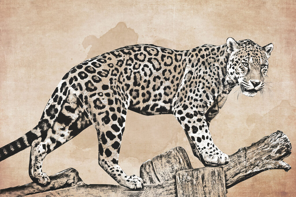 Leopard auf dem Ast — ganzes Design
