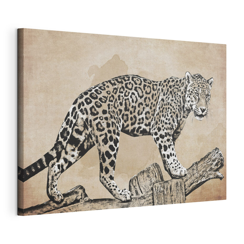 Leopard auf dem Ast — Produktansicht