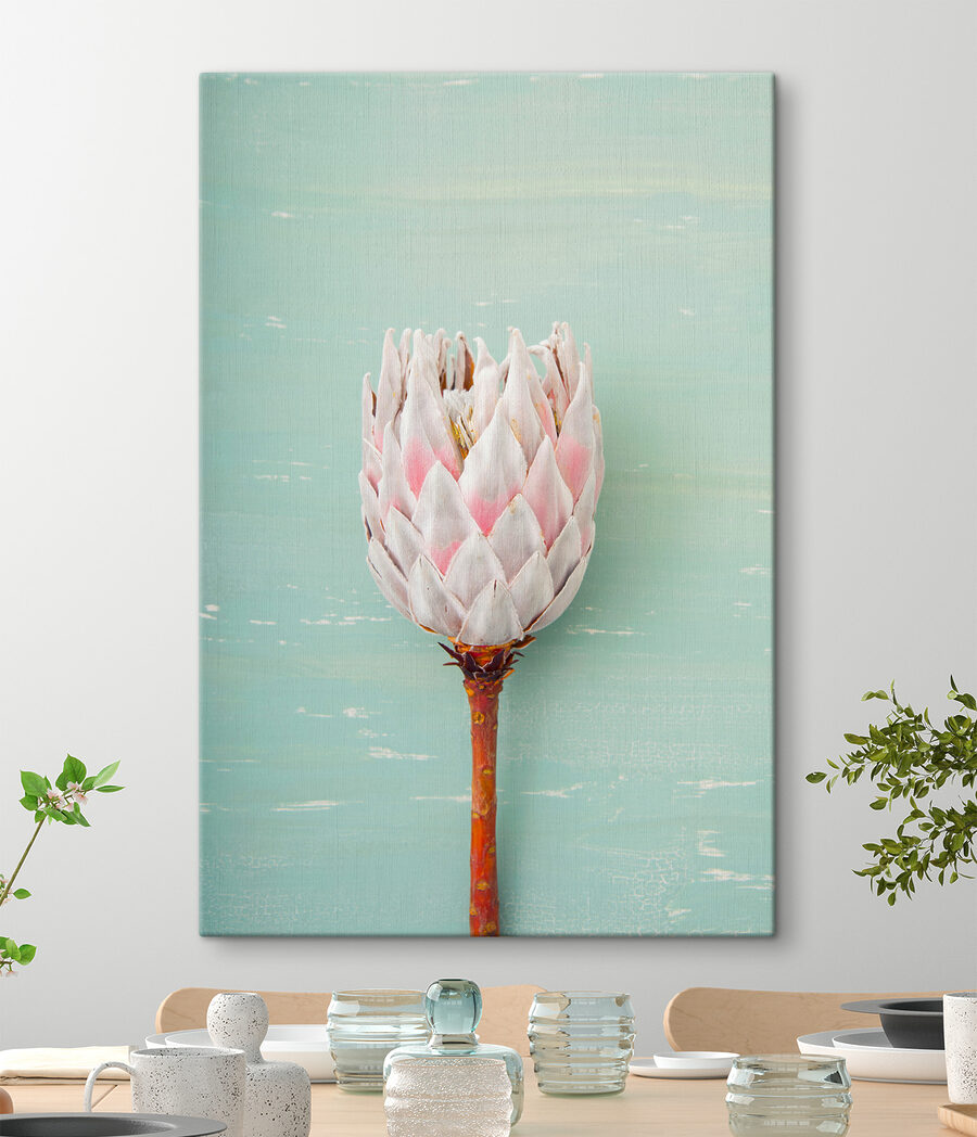 Einzelne Knospe — Interieur 2