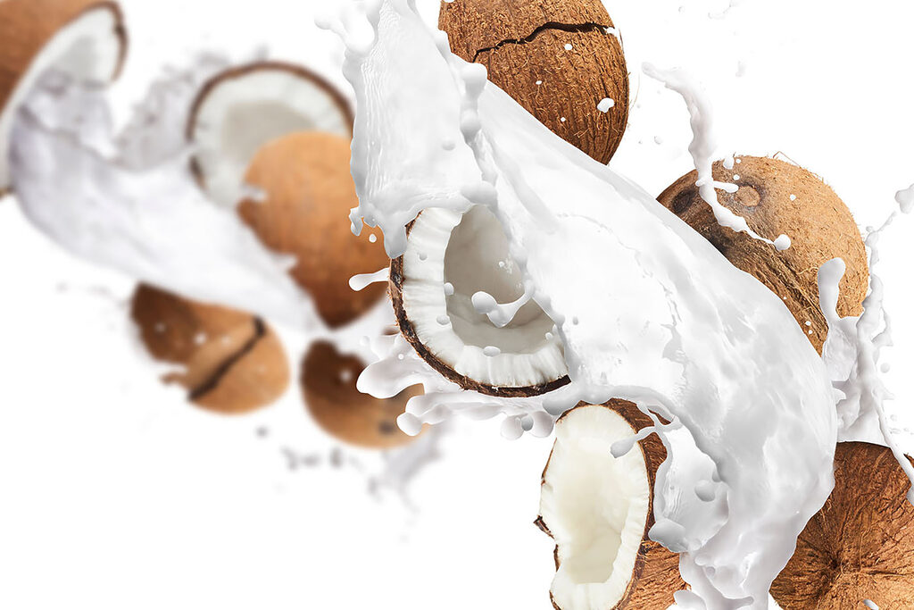 Kokosnuss und Milchspritzer — ganzes Design