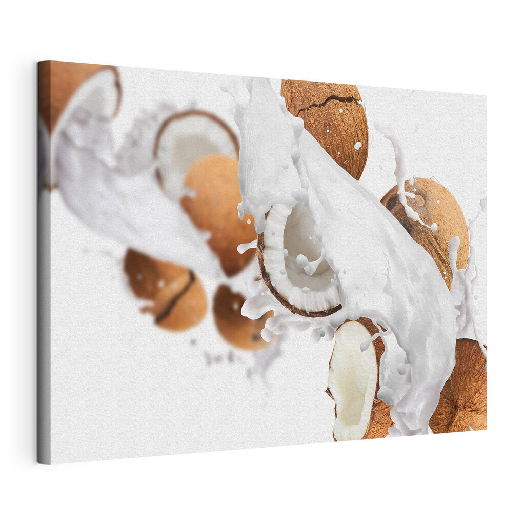 Kokosnuss und Milchspritzer — Produktansicht