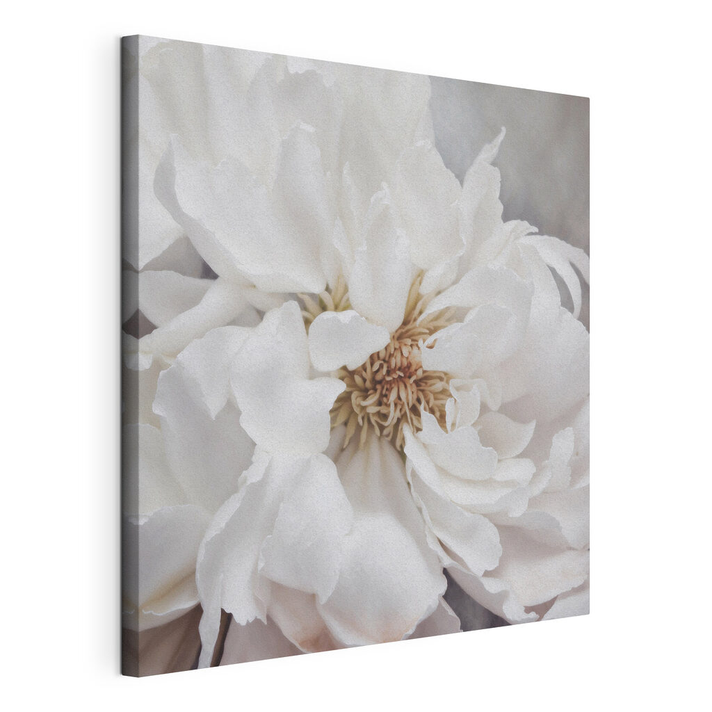 Vielblättrige Blüte — Produktansicht