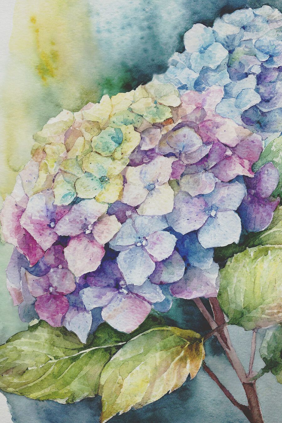 Hortensienblüte — ganzes Design