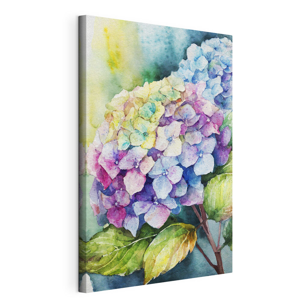 Hortensienblüte — Produktansicht