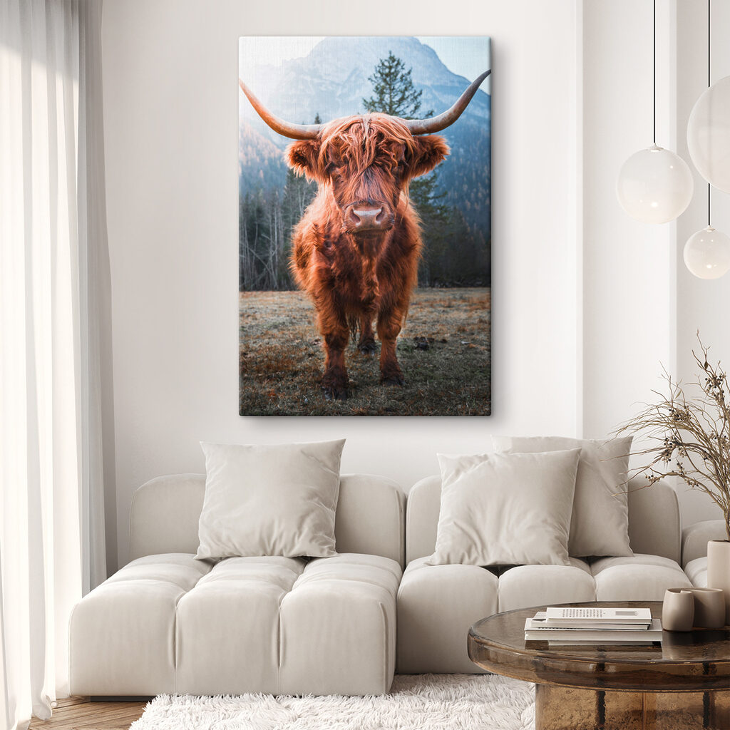 Rind mit langen Hörnern — Interieur 2