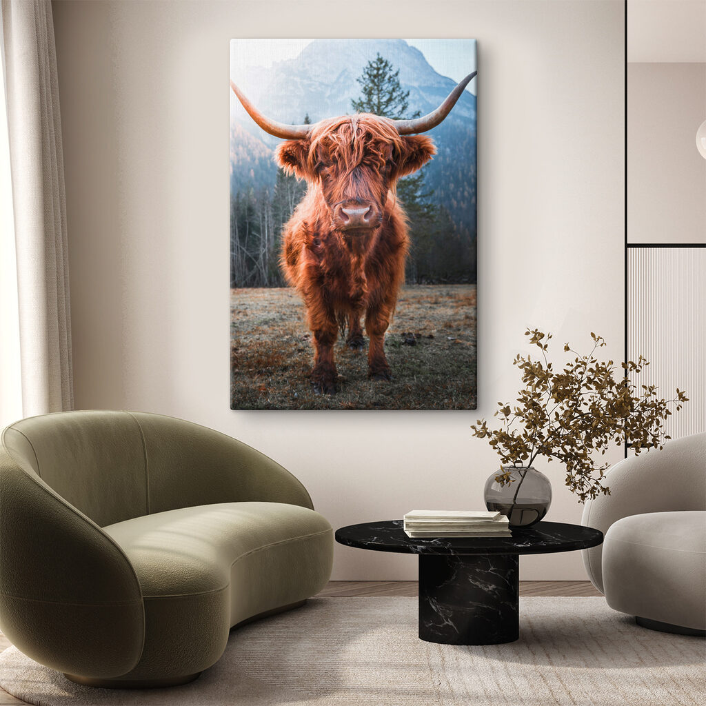 Rind mit langen Hörnern — Interieur 3