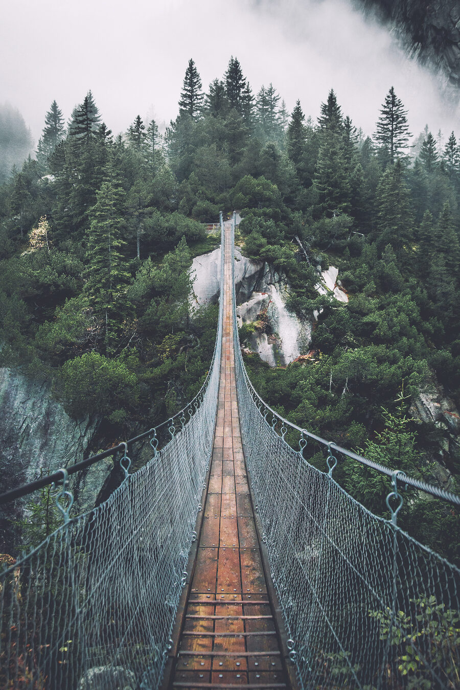 Hängebrücke im Wald — ganzes Design