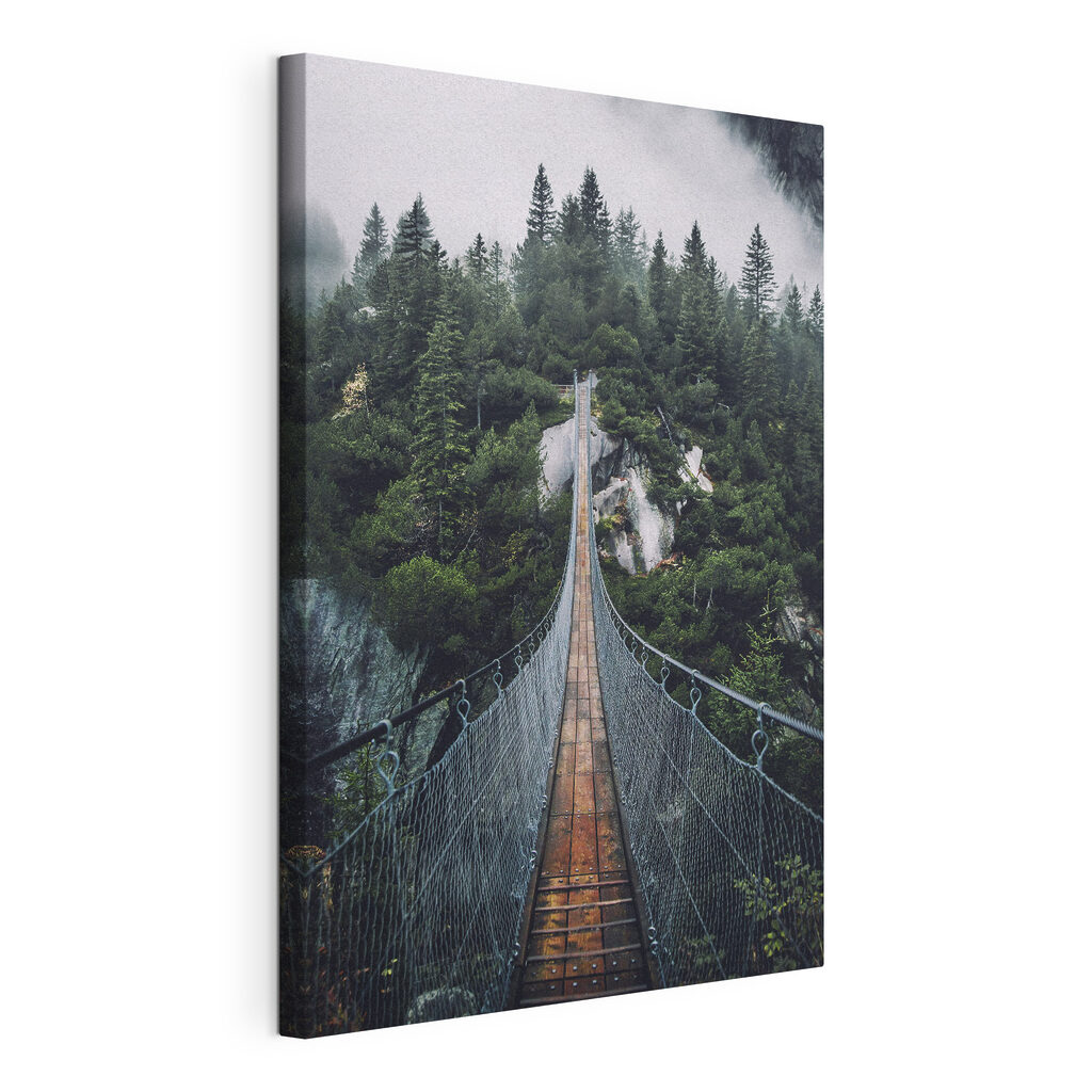 Hängebrücke im Wald — Produktansicht