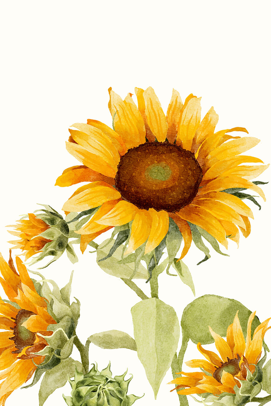 Sonnenblume strebt nach oben — ganzes Design