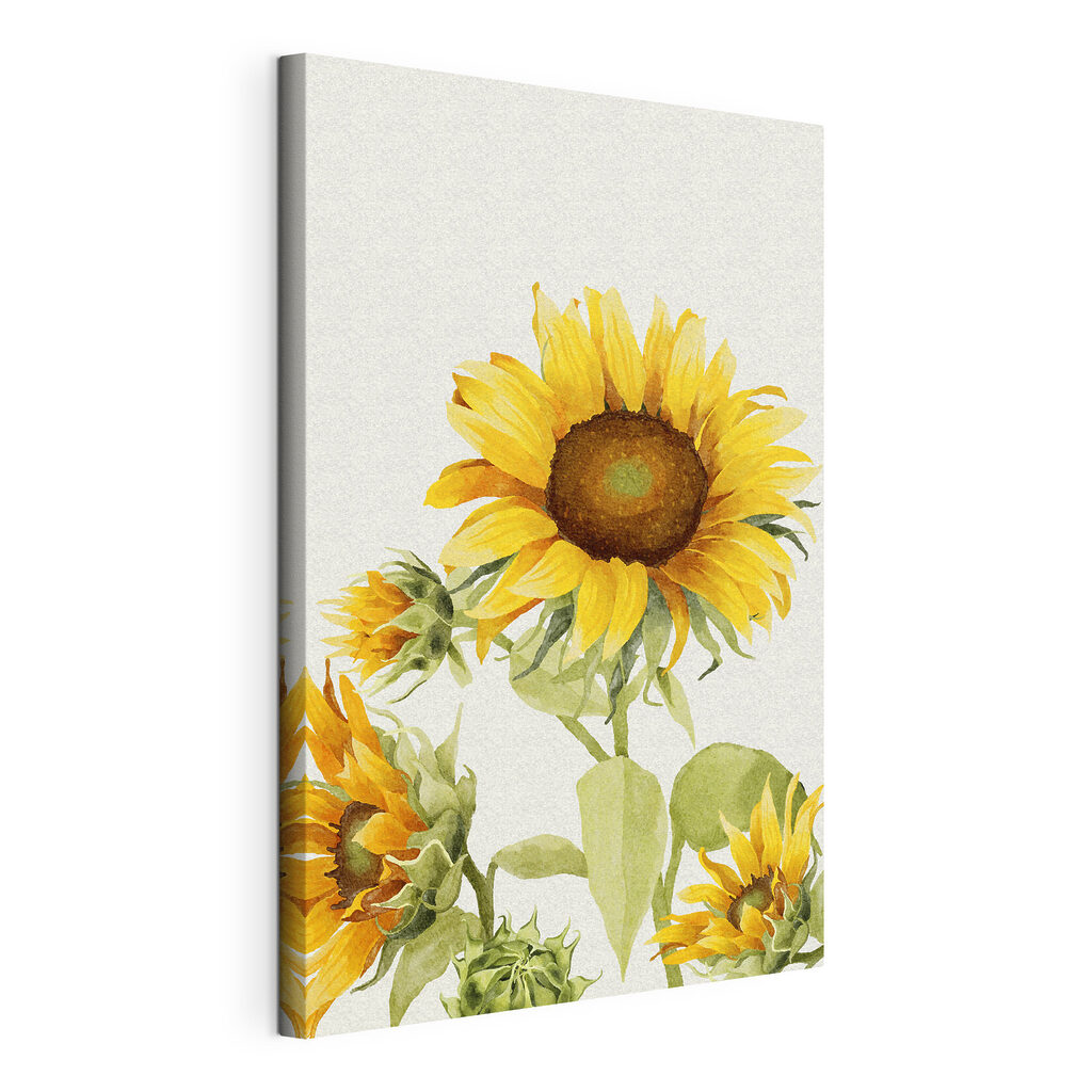Sonnenblume strebt nach oben — Produktansicht