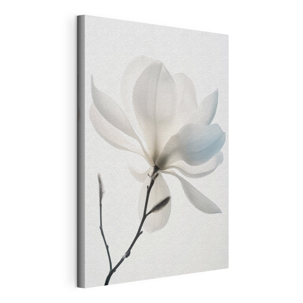 Blühende weiße Magnolie, gespannte Leinwand mit umlaufender Kante