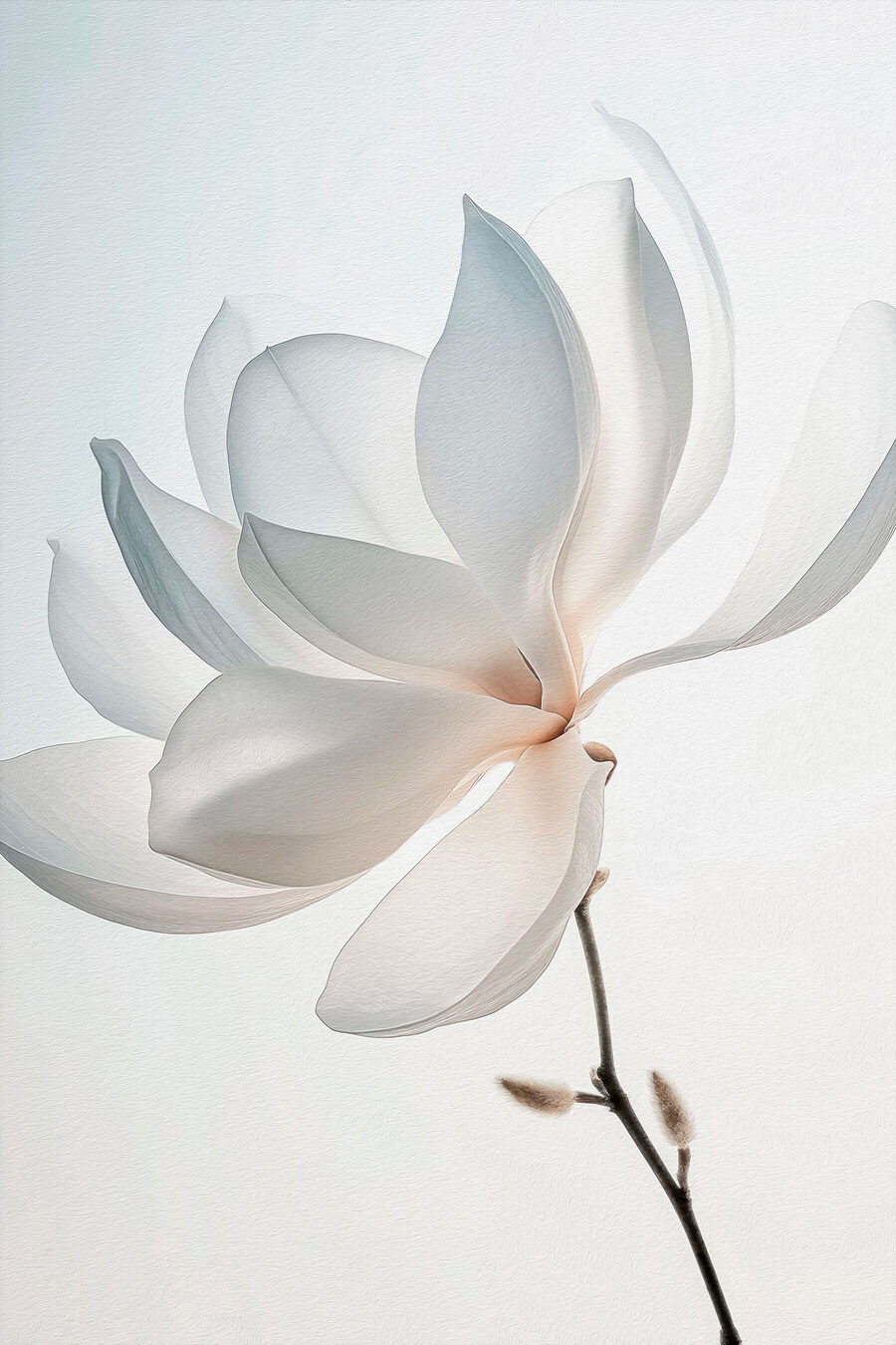 Sanft gebogene weiße Magnolie — ganzes Design