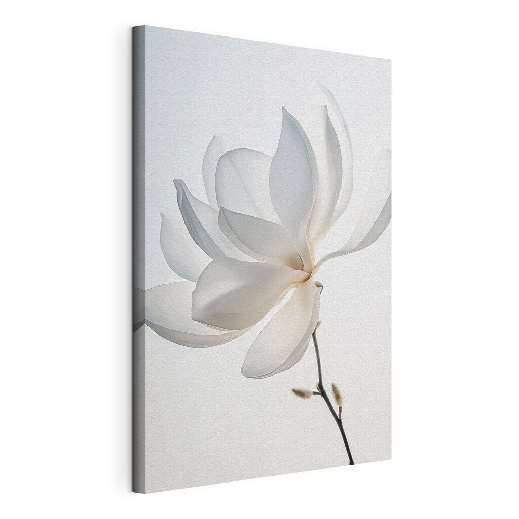 Sanft gebogene weiße Magnolie — Produktansicht