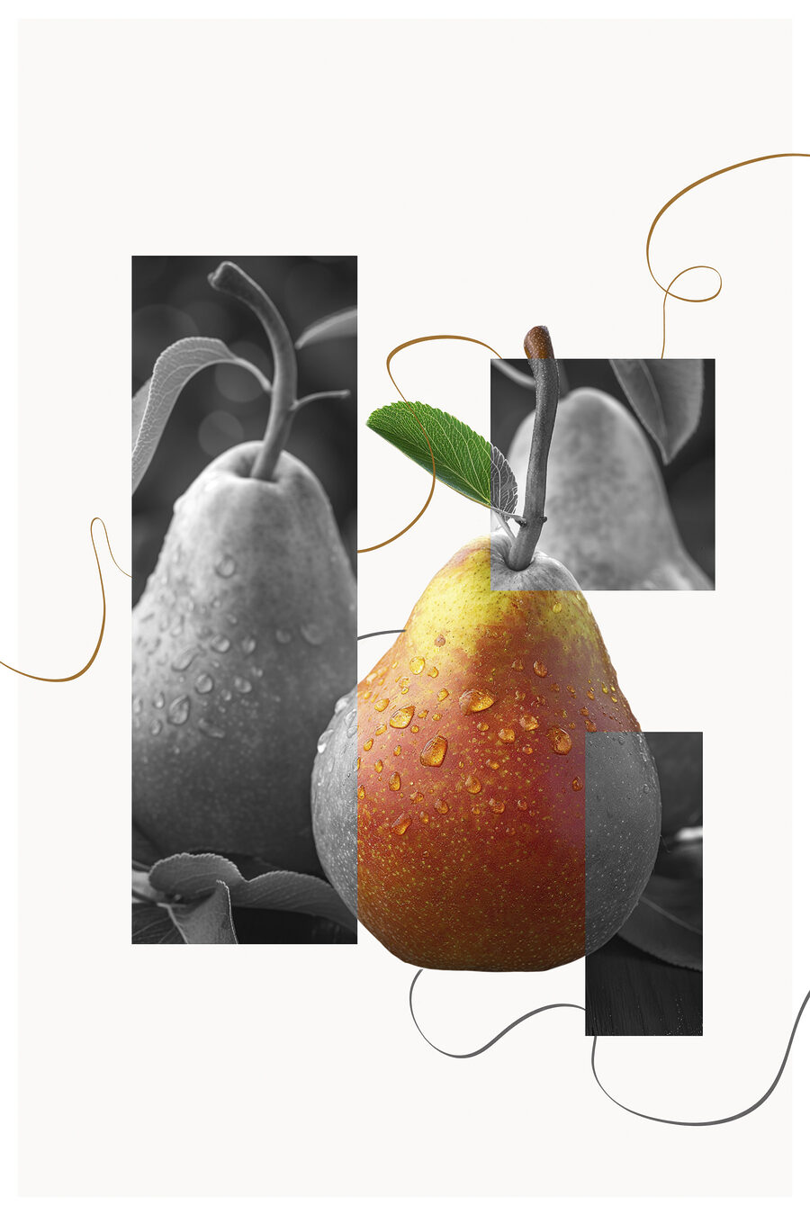 Collage mit Birne — ganzes Design