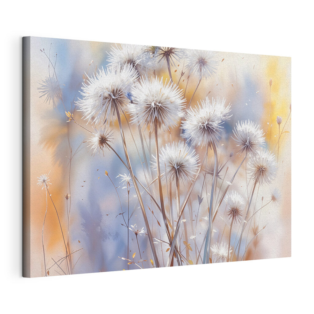 Pusteblumen im warmen Licht — Produktansicht