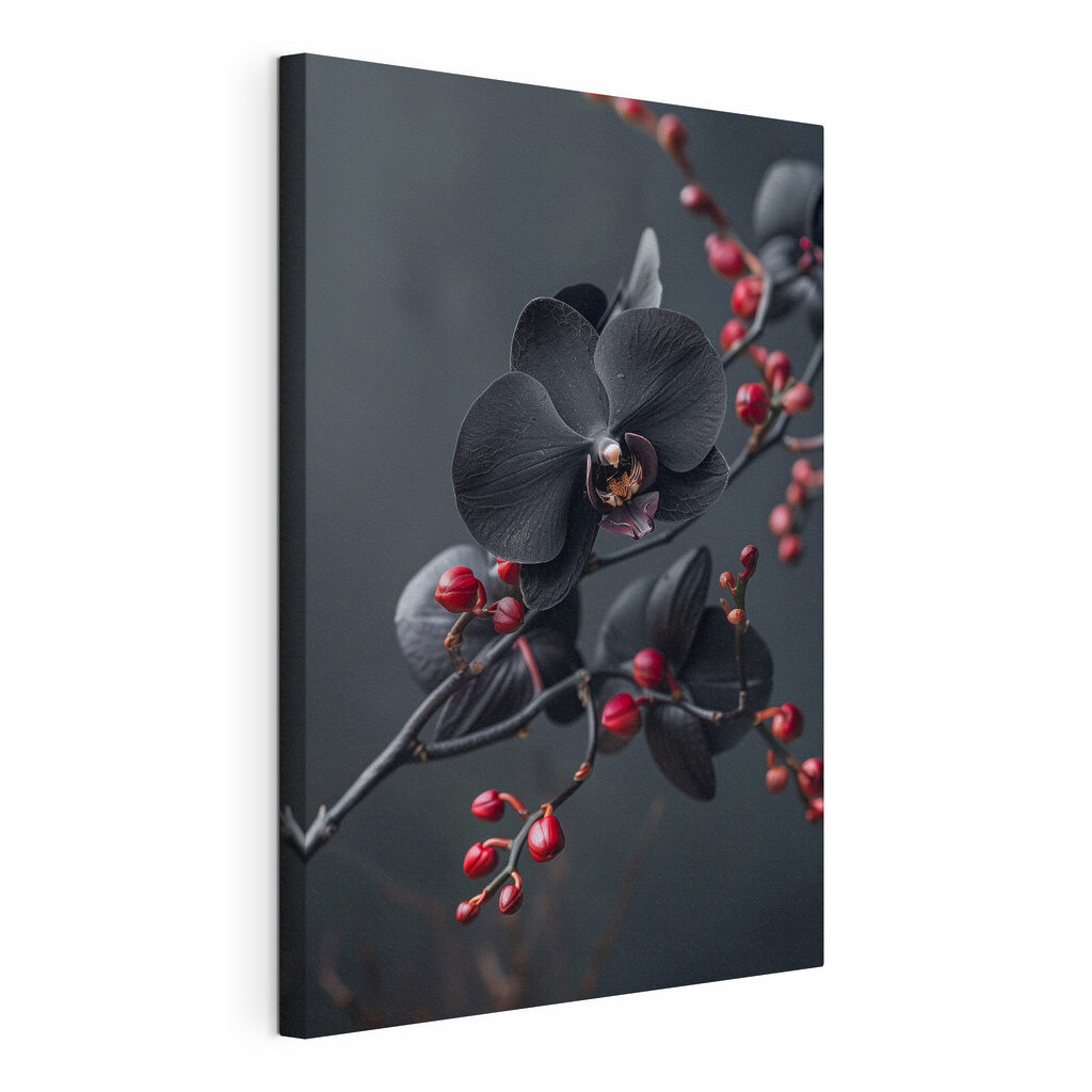 Schwarze Orchidee am Beerenzweig — Produktansicht