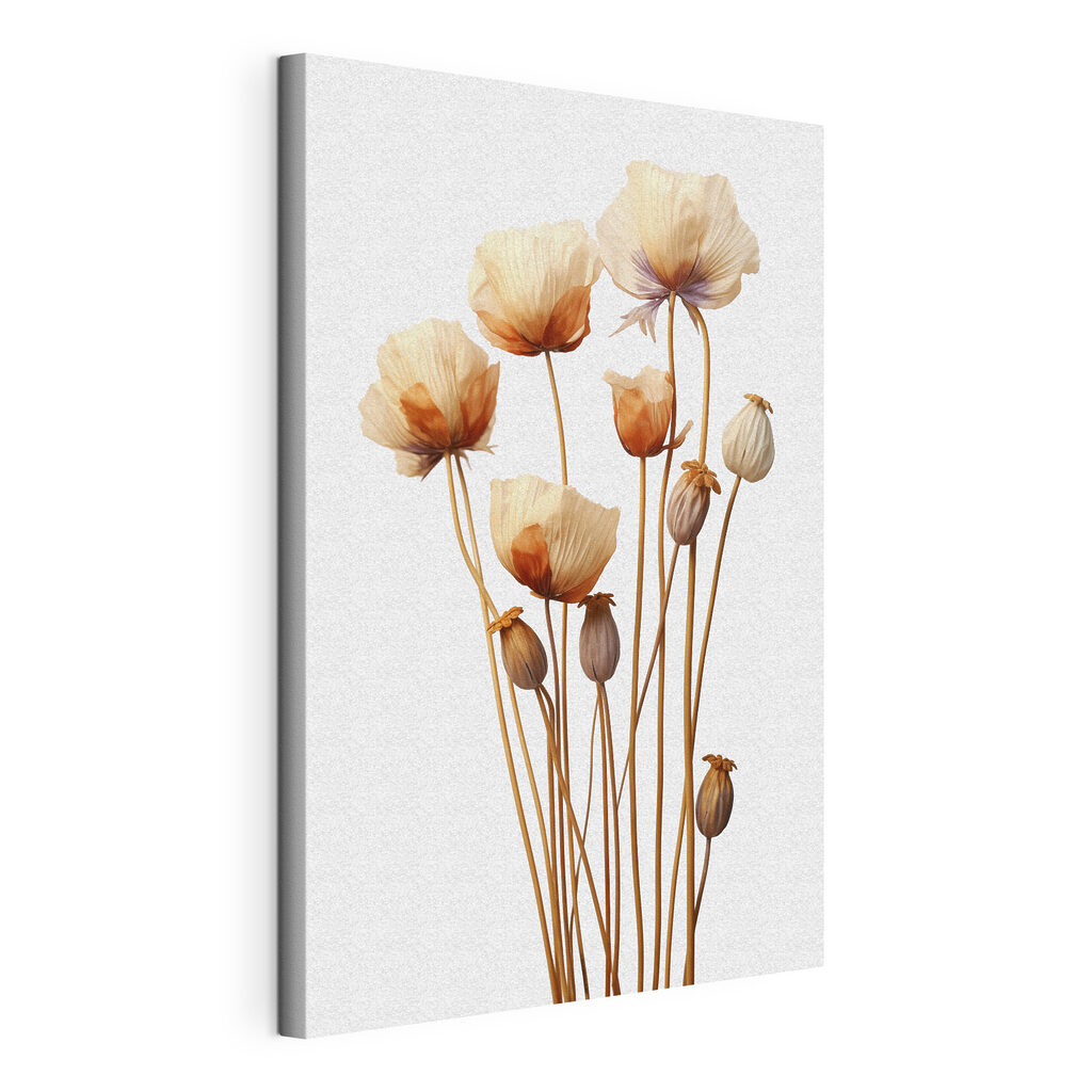 Trockenblumen — Produktansicht