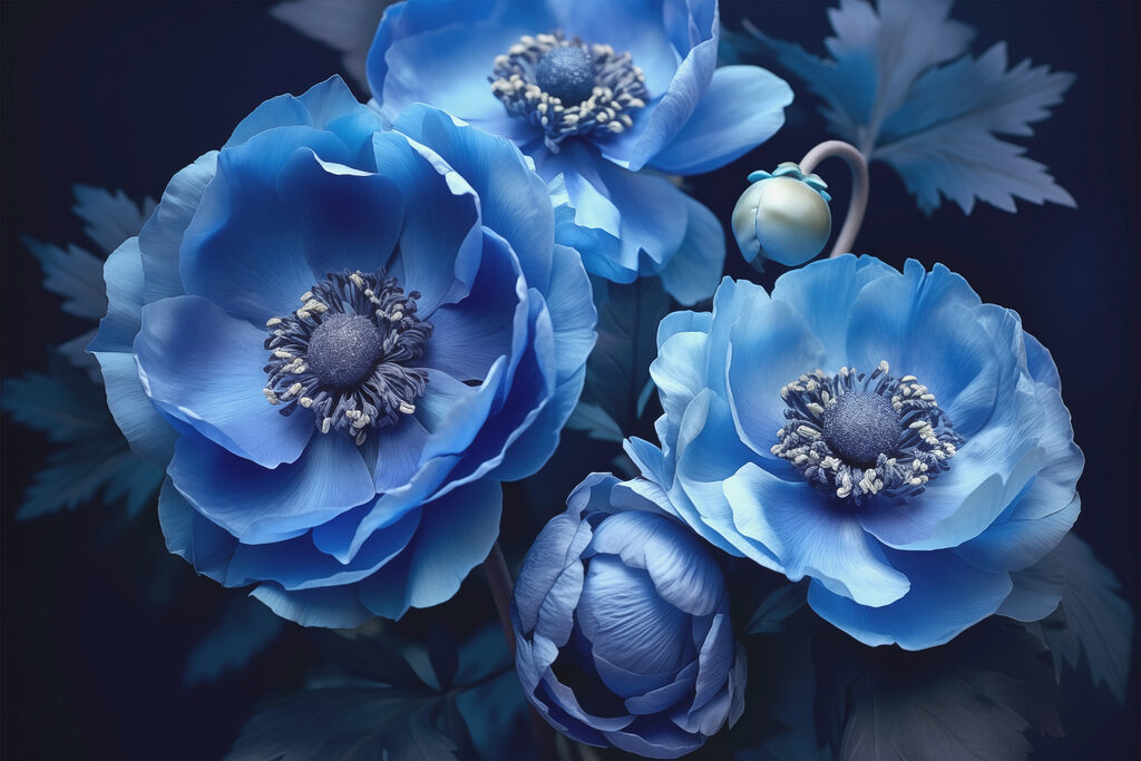 Drei Blüten in Tiefblau — ganzes Design