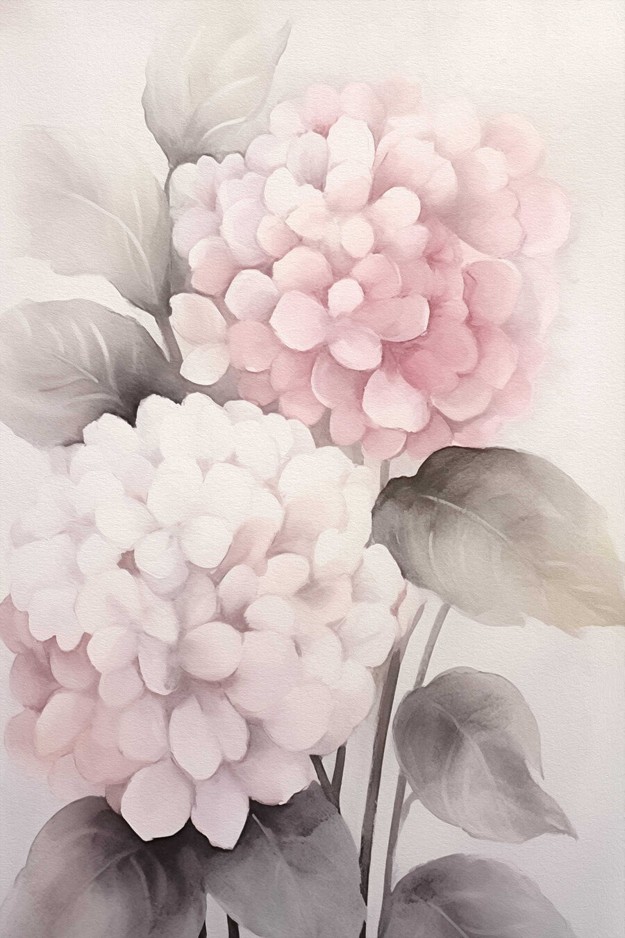 Zwei Hortensien in Pastellrosa — ganzes Design