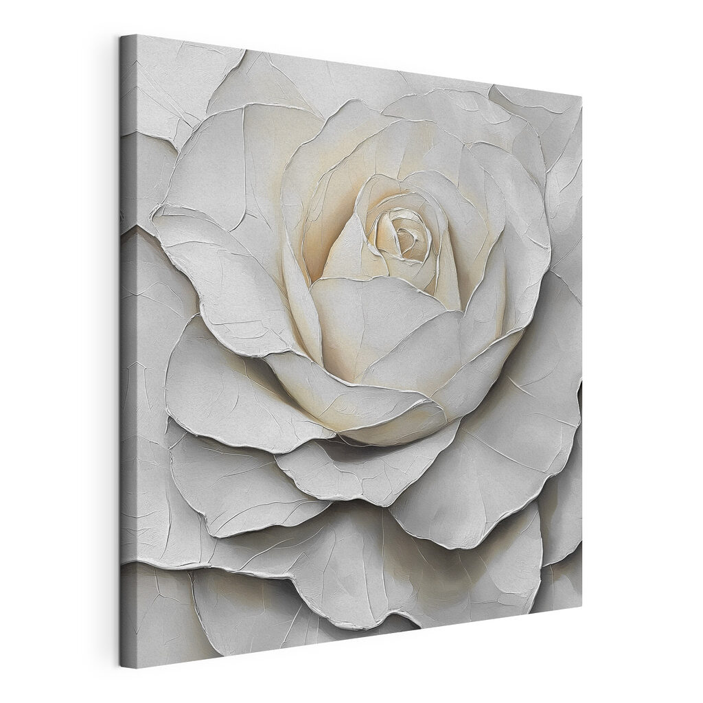 Weiße Rose in Schattenfalten, gespannte Leinwand mit umlaufender Kante
