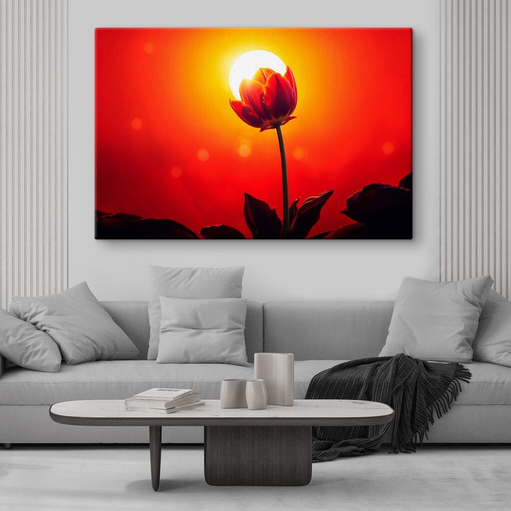 Rote Tulpe im Gegenlicht — Interieur 2
