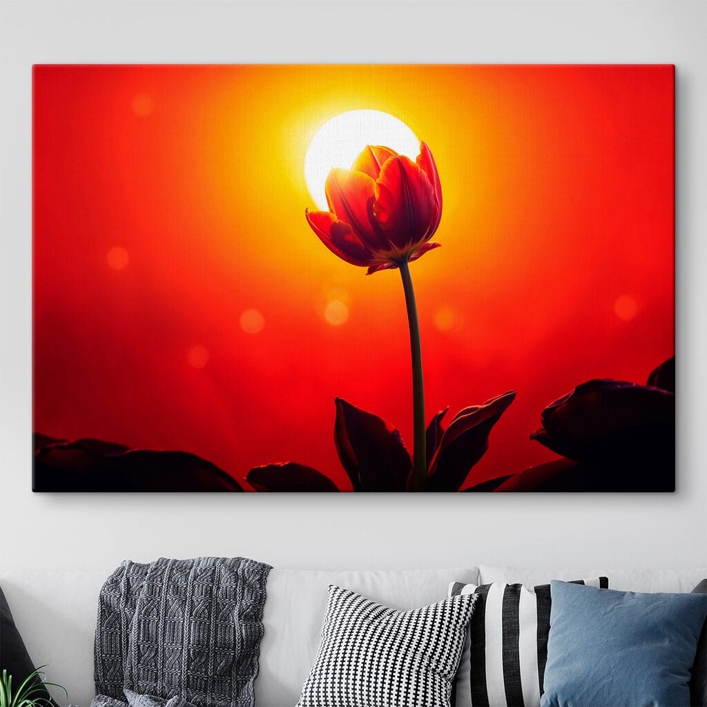 Rote Tulpe im Gegenlicht — Interieur 1