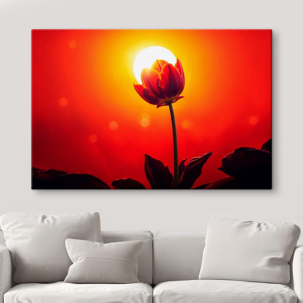 Rote Tulpe im Gegenlicht — Interieur 3
