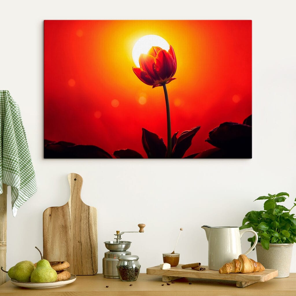 Rote Tulpe im Gegenlicht — Interieur 4