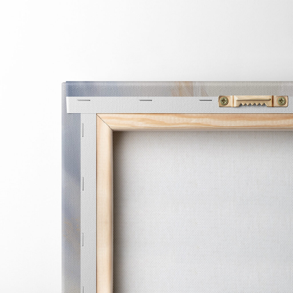Blasse Federn im Licht — Rückseite