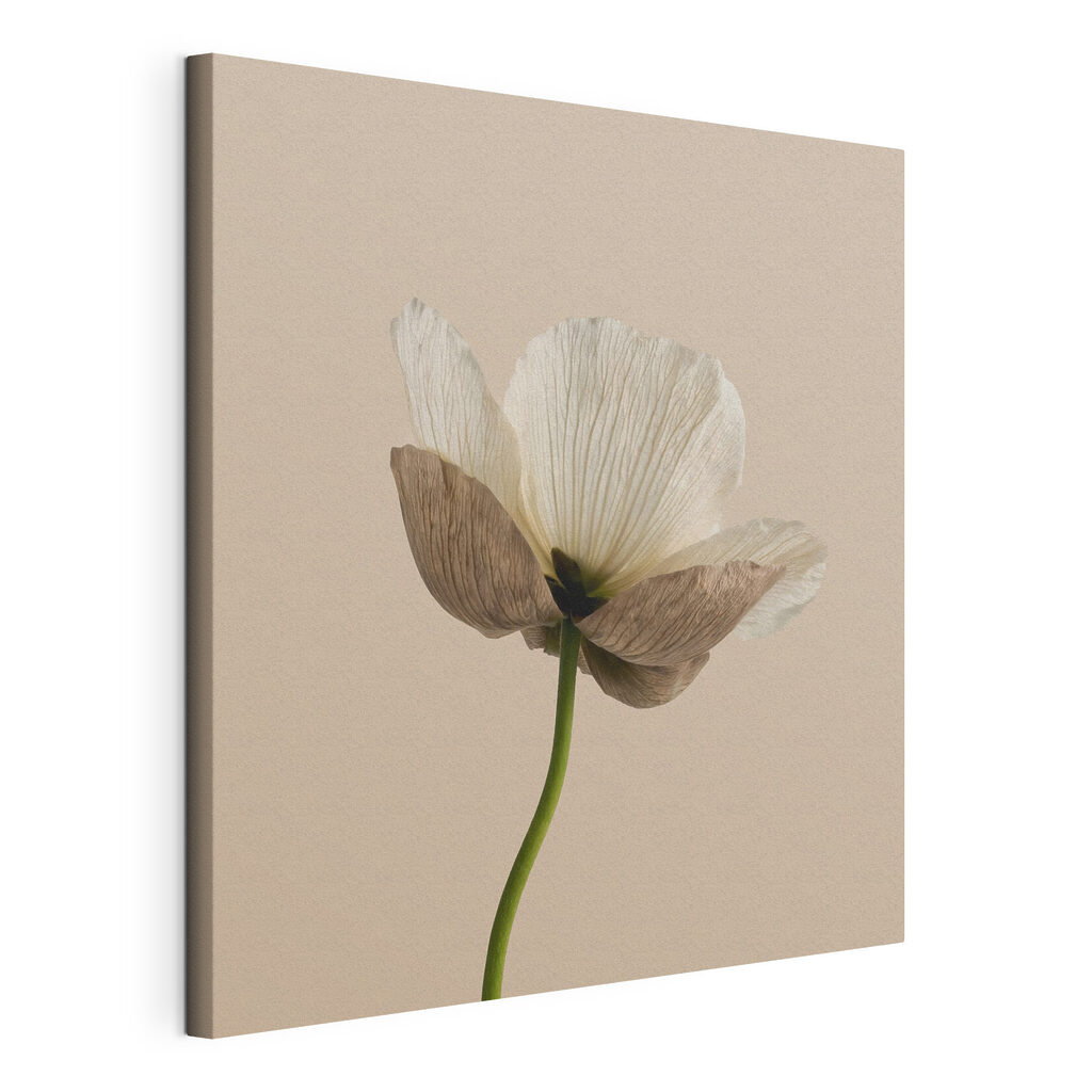 Blüte am grünen Stiel, gespannte Leinwand mit umlaufender Kante