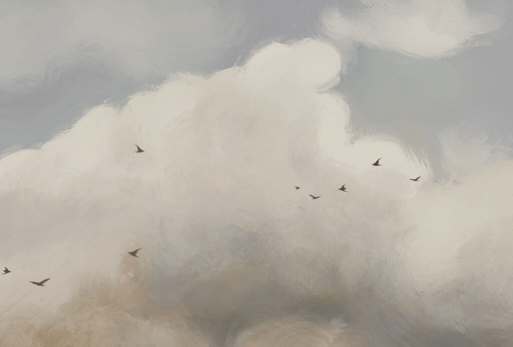 Vögel unter Wolken — ganzes Design