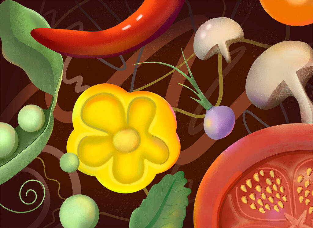 Bunte frische Zutaten — ganzes Design