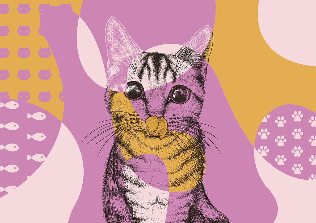 Katze mit Brille — ganzes Design
