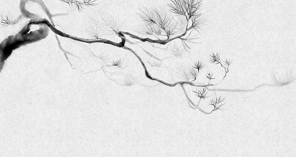 Zweig mit feinen Nadeln — ganzes Design