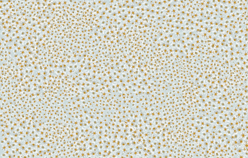 Feine Streublümchen — ganzes Design