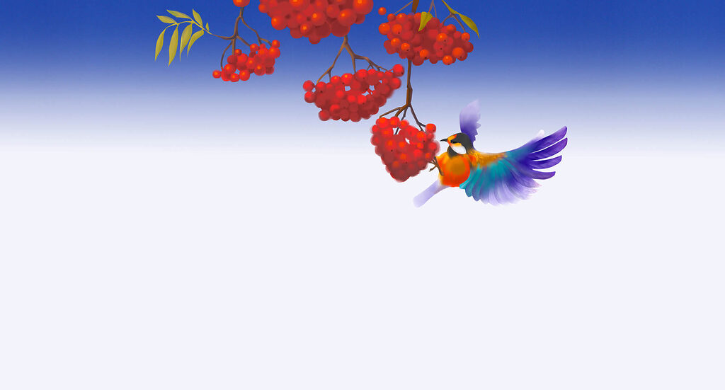 Vogel und rote Beeren — ganzes Design