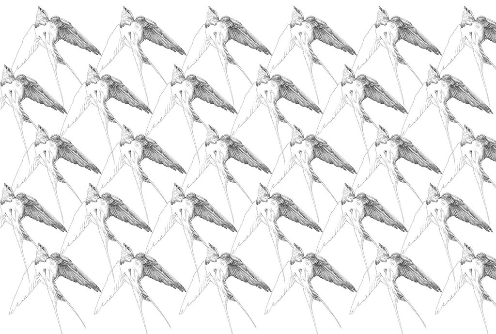 Vögel in Reihen — ganzes Design